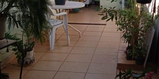 Casa Térrea À Venda Condomínio Ribeirão Preto - Foto 6 de 12