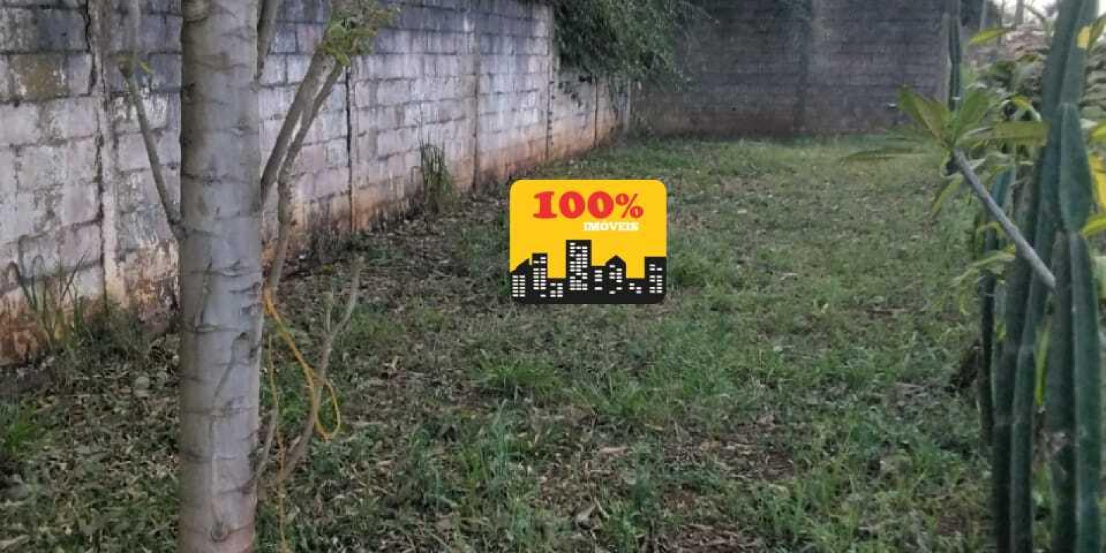 Area de 10 mil metros - Foto 11 de 29