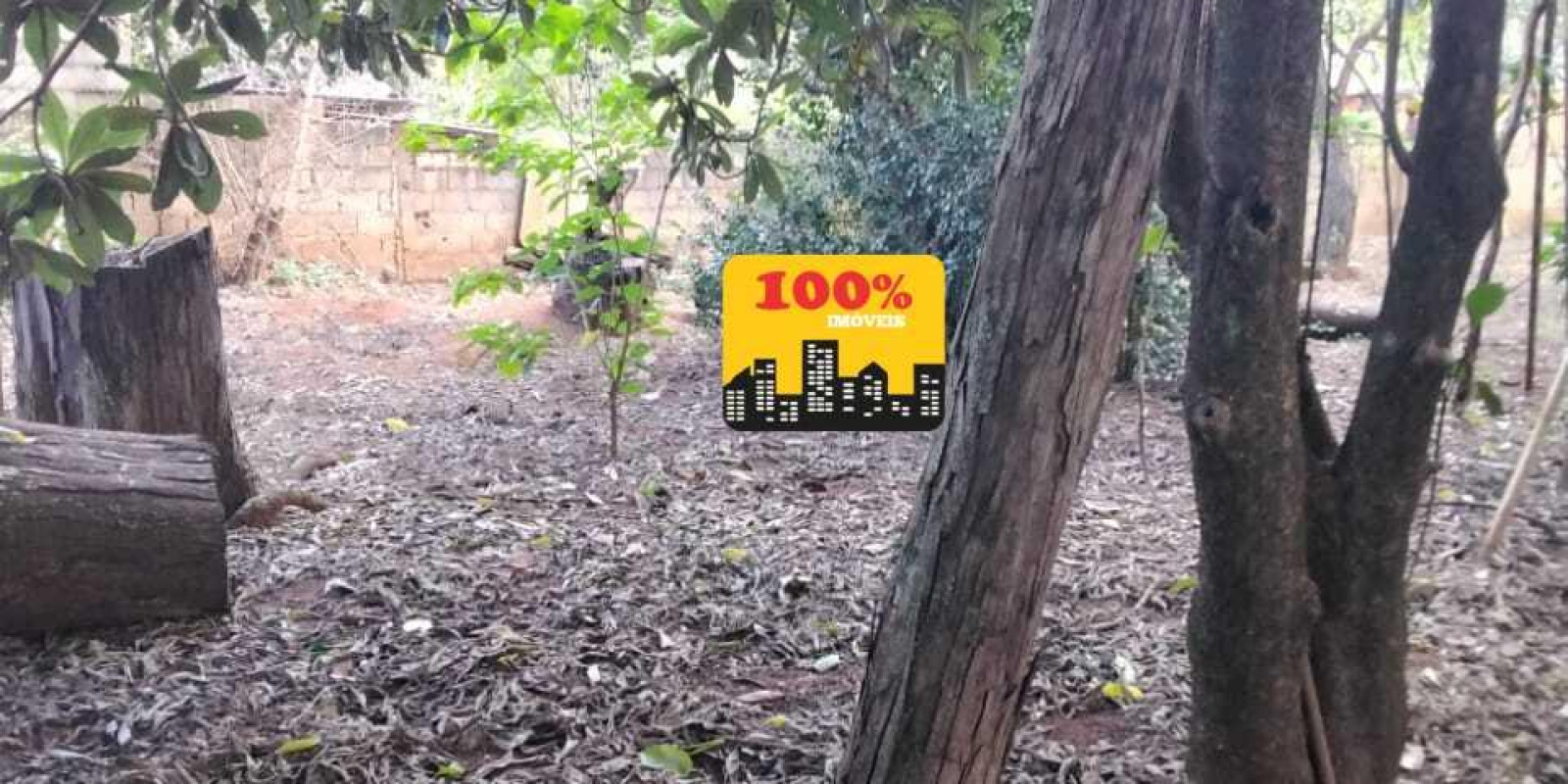 Area de 10 mil metros - Foto 16 de 29