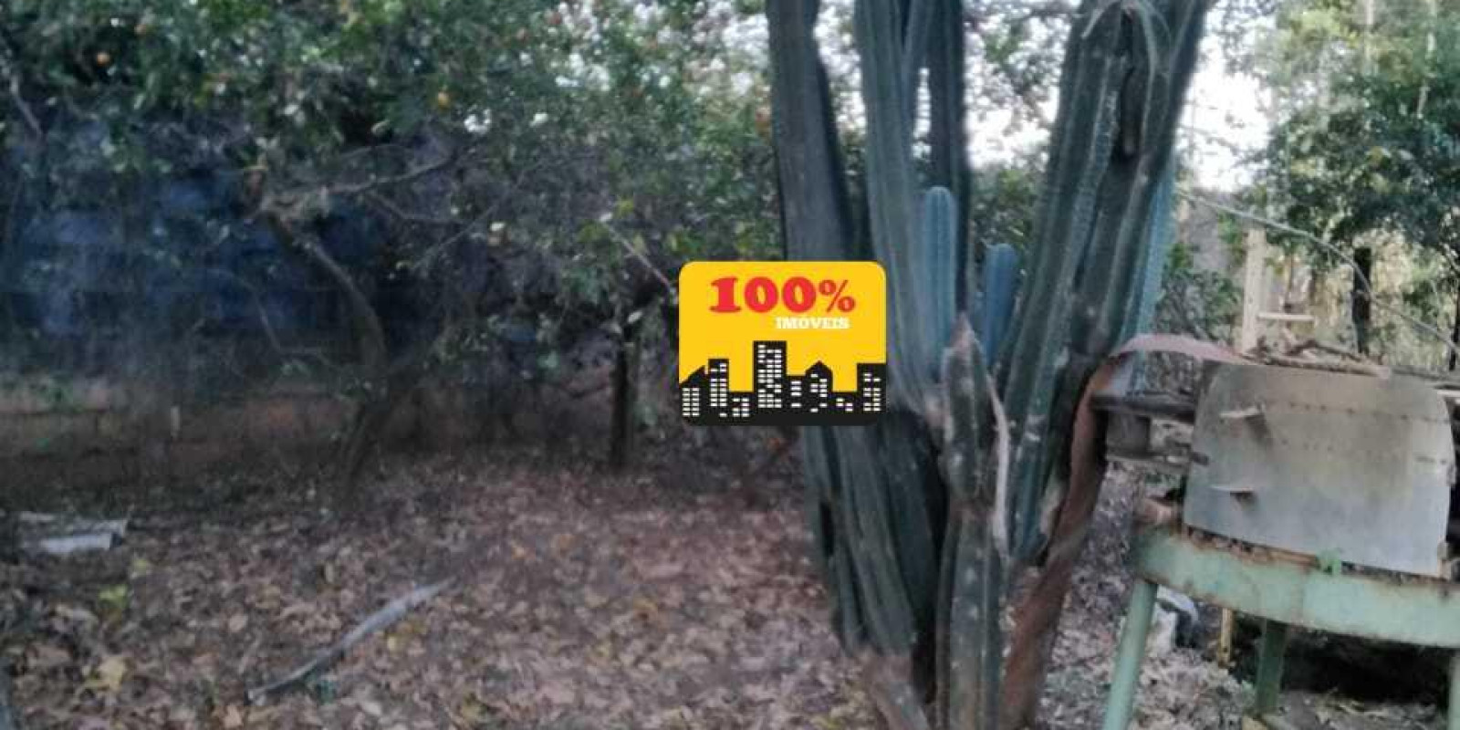 Area de 10 mil metros - Foto 23 de 29