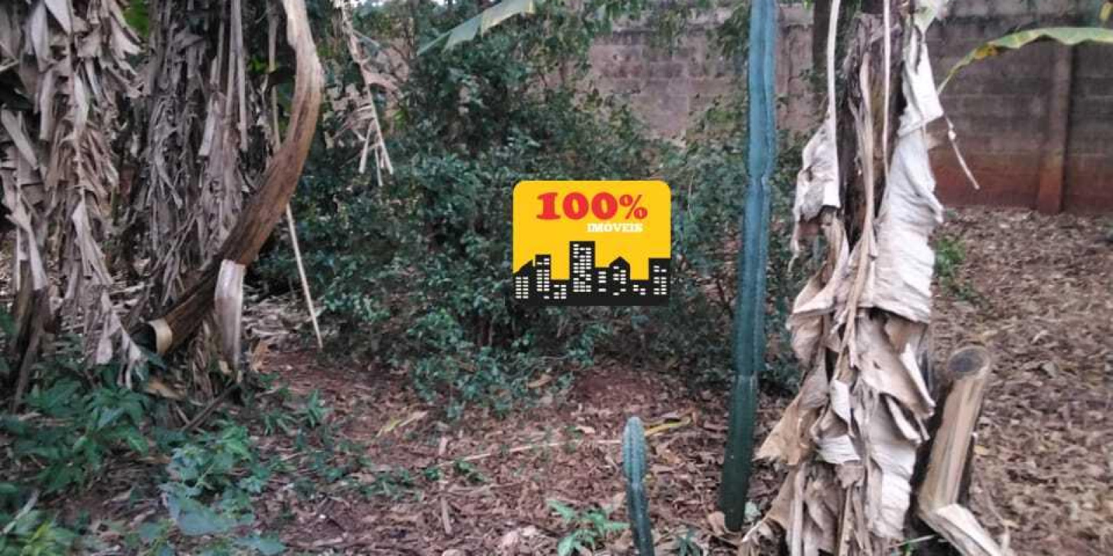 Area de 10 mil metros - Foto 4 de 29