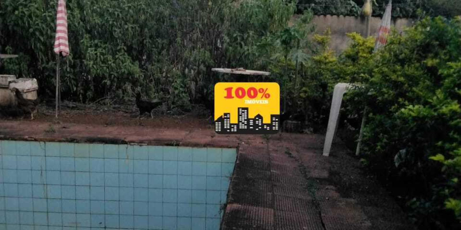 Area de 10 mil metros - Foto 24 de 29