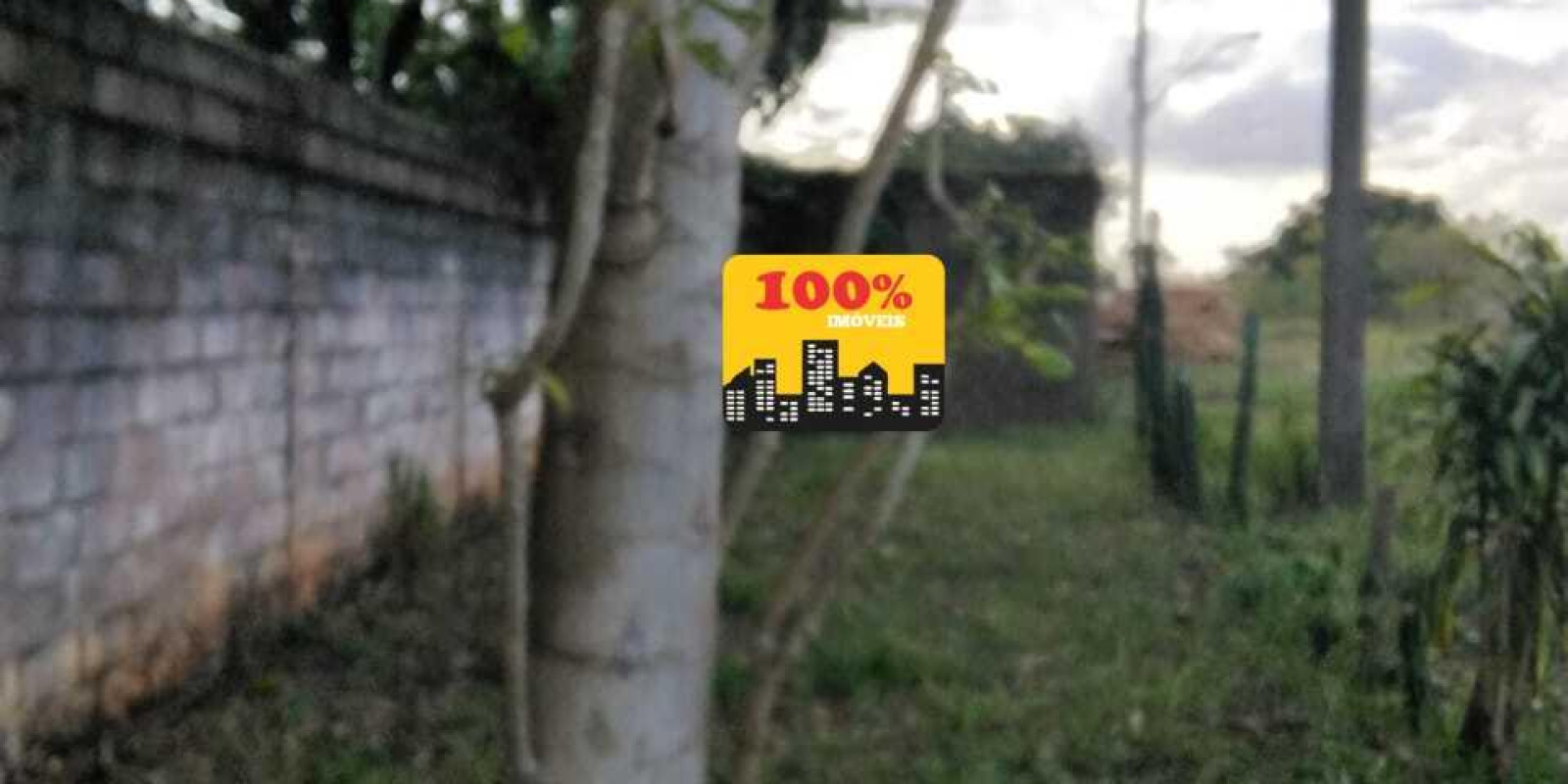 Area de 10 mil metros - Foto 9 de 29