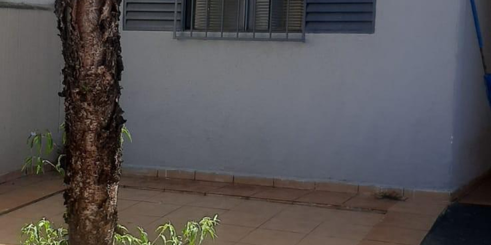 Casa Para Alugar Vila Tibério - Foto 4 de 15